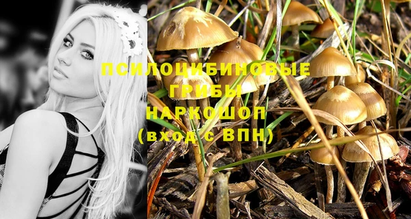 круглые Кодинск