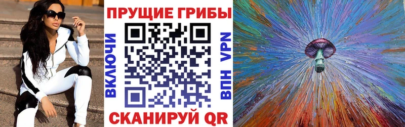 Купить  Бирюч  Галлюциногенные грибы Magic Shrooms 