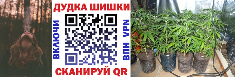 МАРИХУАНА AK-47  Купить закладки  Бирюч 